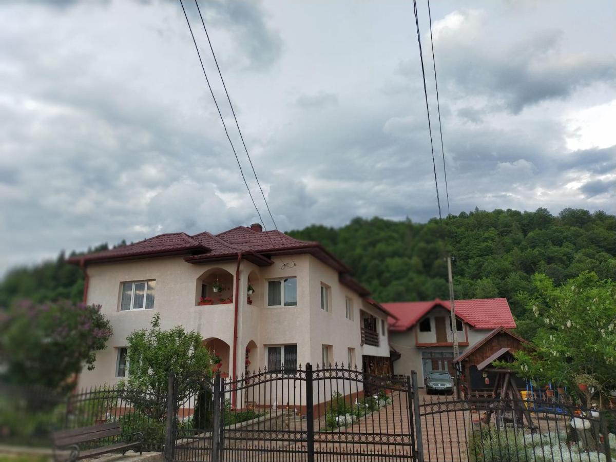 Casa Irina Otel Mînăstirea Humorului Dış mekan fotoğraf